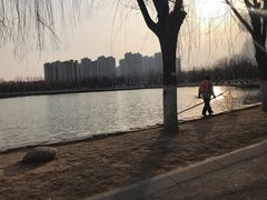 -五环公园