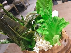 党参枸杞羊肉汤的锅料。-慕佳精品西餐咖啡(新华北区店)