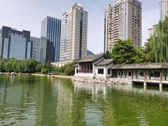 -团结湖公园