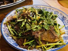 香菜牛肉-郑件洋芋饭庄