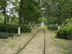 -永定河休闲森林公园