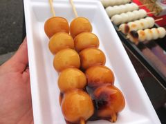 -有栖山 清光院 清水寺