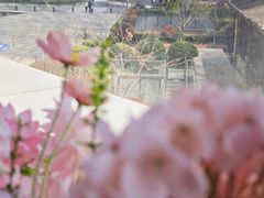 -香樟花园法式铁板烧(恒隆广场店)