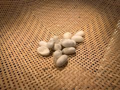 门面-盡膳口福跷脚牛肉火锅(合生汇购物中心店)