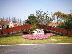 -上海长兴岛郊野公园