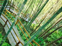 -宁波浙东大竹海景区