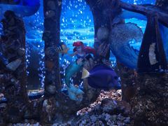 -太平洋海底世界