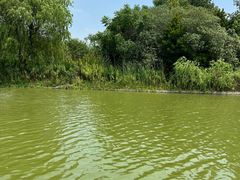 -太阳岛度假酒店