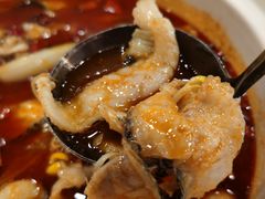-蜀腾川·火锅鱼.烤鱼(新世界城店)