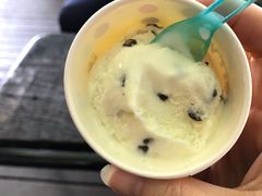 巧克力豆冰激淋-莓园冰淇淋店