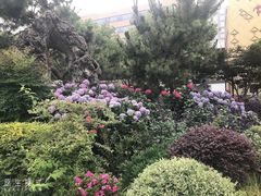 -常州古运河南大街文化旅游区-人民公园