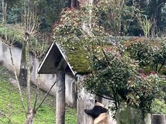 -碧峰峡风景区