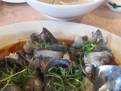 -崖口红树林海鲜餐厅