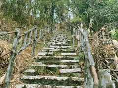 -番禺大夫山森林公园