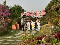 -荷兰花海
