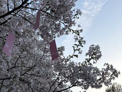 -杭州少年儿童公园