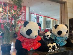 -成都保利公园皇冠假日酒店(熊猫基地店)