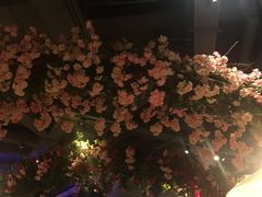 -沪小胖小龙虾(淮海中路旗舰店)