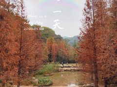 -云溪植物园