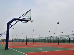 -中央民族大学