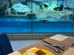 -帝企鹅自助餐厅•儿童岛•真企鹅(长隆企鹅酒店)