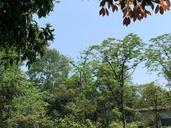 -中国大熊猫保护研究中心雅安碧峰峡基地