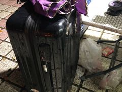 -修拉杆箱·行李箱日默瓦
