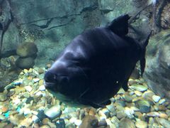 -常州海昌海洋探索馆