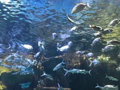 -华夏文旅西安度假区