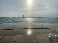 -星海湾跨海大桥