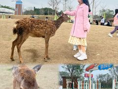 -盈香心动乐园