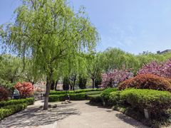 -马濠公园