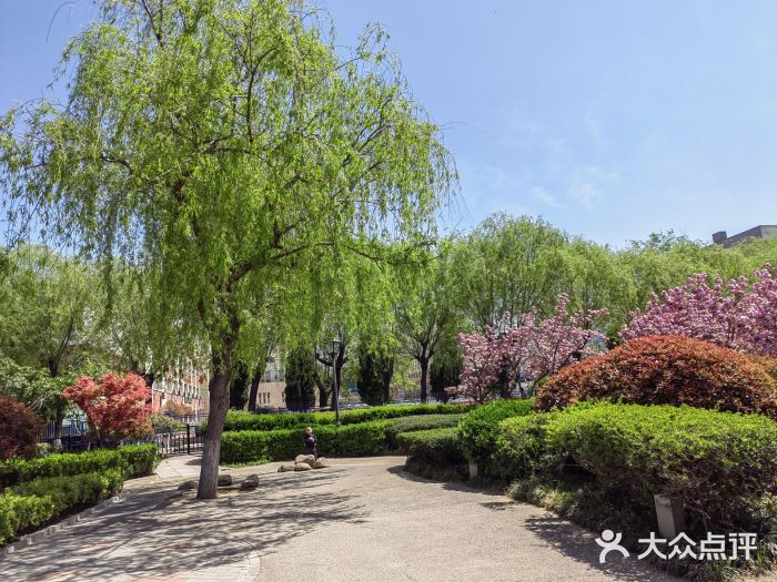 马濠公园图片