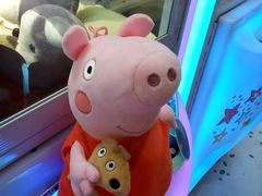 -PAWTOY爪e玩偶店(天兴罗斯福店)