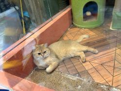 -卡通尼·Safari非洲探索乐园·生日会(金桥国际商业广场店)