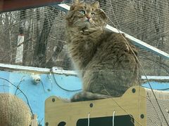 -青藏高原野生动物园