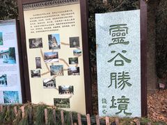 -灵谷景区