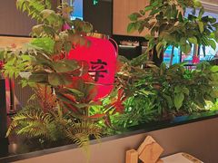 -辛香汇·现炒川菜(城北万象城店)