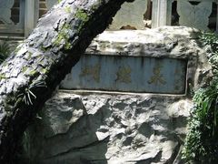 -蝴蝶泉公园