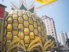 -九毛九西北菜(大东海店)