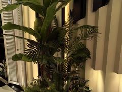 -大逸传奇·足道SPA(天美店)