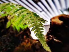 -陈熹公民族美食文化餐厅(中华广场店)