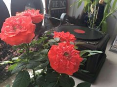 -捌楼咖啡书吧(南开店)
