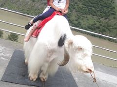 -叠溪松坪沟景区