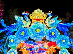 -厦门园林博览苑