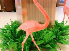 -都市阳光海鲜城(青山湖店)