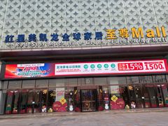 -红星美凯龙(上海沪南店)