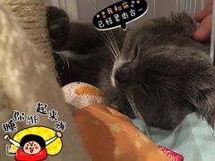 -Oh My Dog宠物沙龙(伊珊娜皮毛护理店)