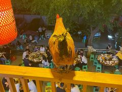 -弓虽昌焖烧鸡(大竹林店)
