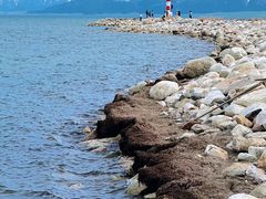 -赛里木湖风景名胜区